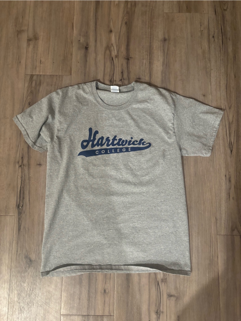 Hartwick College Gray T-Shirt